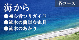 海から