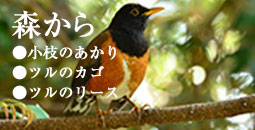 森から