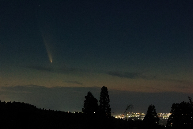 紫金山・アトラス彗星