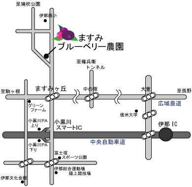 長野県伊那市ますみブルーベリー農園アクセスマップ(地図)
