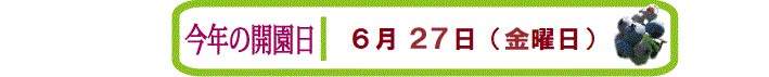 開園予定日