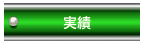 実績