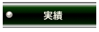 実績