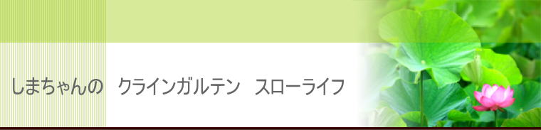ヘッダーイメージ
