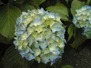 052120