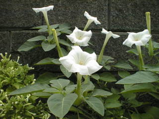 01080509
