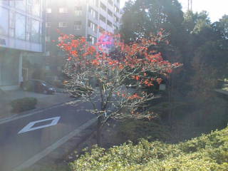 01112230