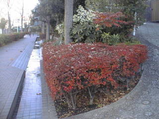 01112806