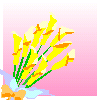 hanayaba