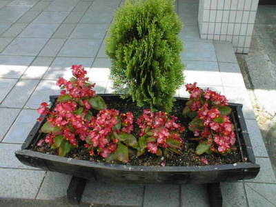 99061217