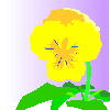 panji