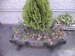0716320.jpg