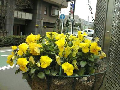 0303008