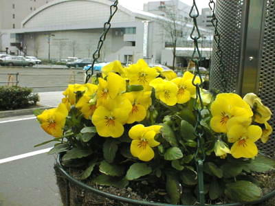 0303020
