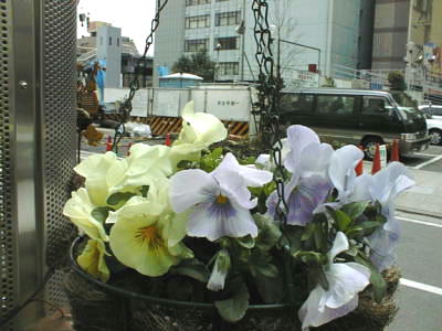 0303025