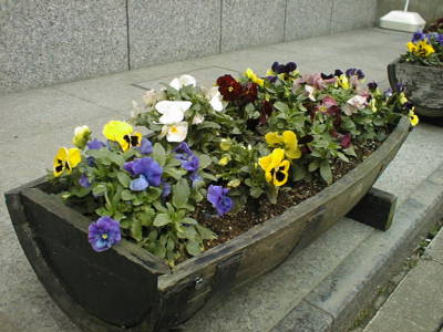 06032502
