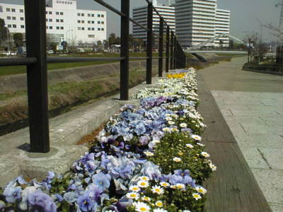 09032108