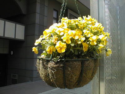 032406