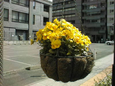 032415