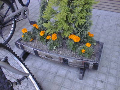 051510532