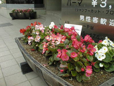 0525125