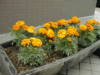 0525202
