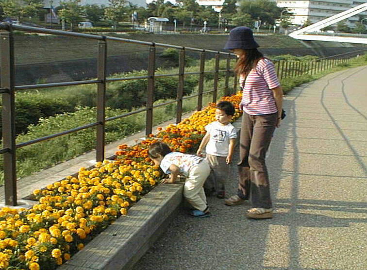 PIC00011-4