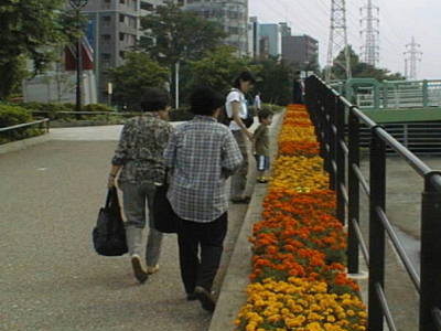 01062301-1