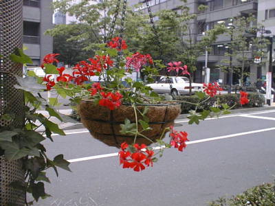01060508