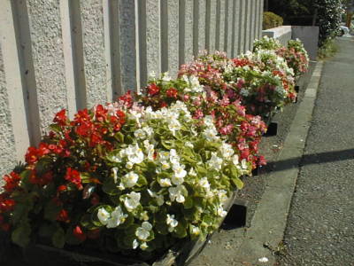 01101306