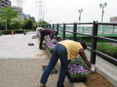124-2407_IMG.jpg
