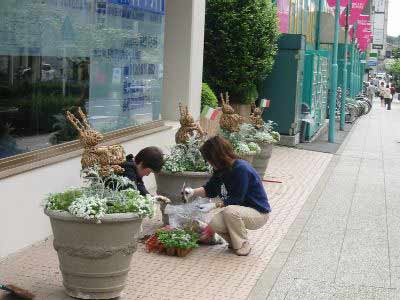 124-2413_IMG.jpg