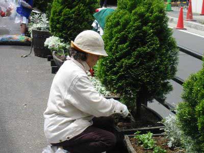 124-2416_IMG.jpg