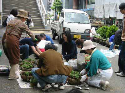 124-2420_IMG.jpg