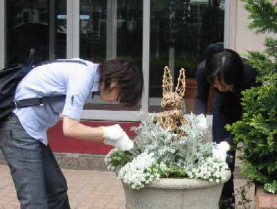 124-2425-1_IMG.jpg