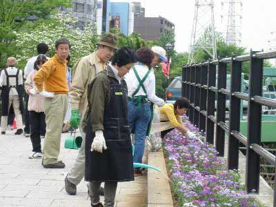 124-2441_IMG.jpg