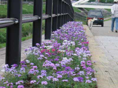 124-2494_IMG.jpg