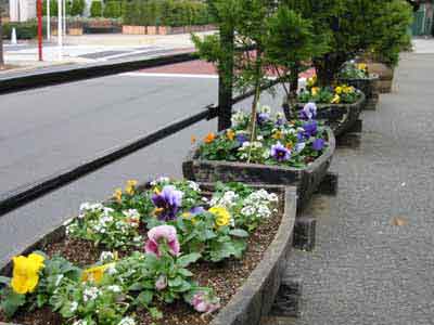 8751.jpg
