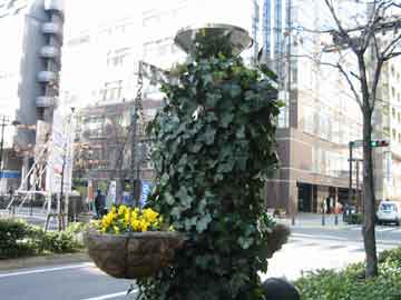 8915.jpg