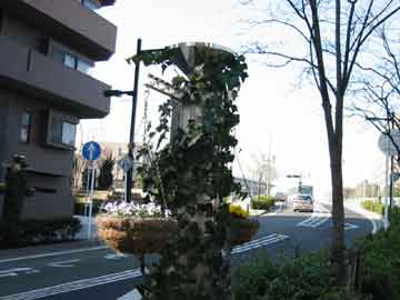 8934.jpg