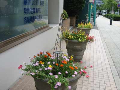 9459.jpg