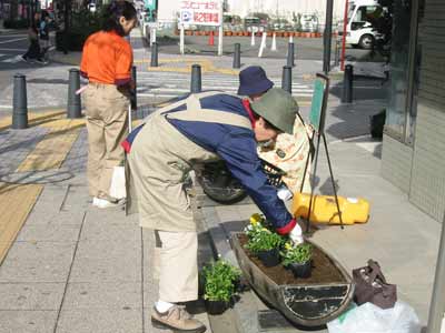 2548.jpg