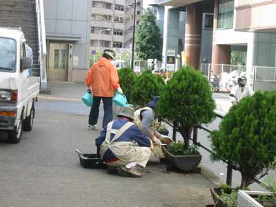 2570.jpg