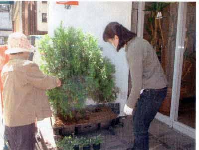 0504232-06.jpg