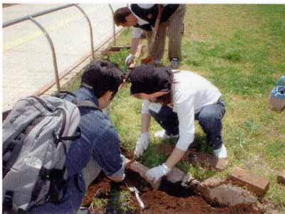 0504234-02.jpg