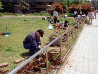 0504234-06.jpg