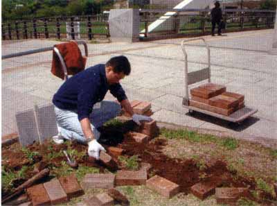 0504235-09.jpg