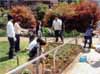 0504237-04.jpg