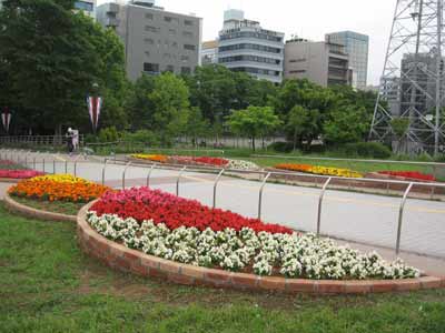 IMG_4070.jpg