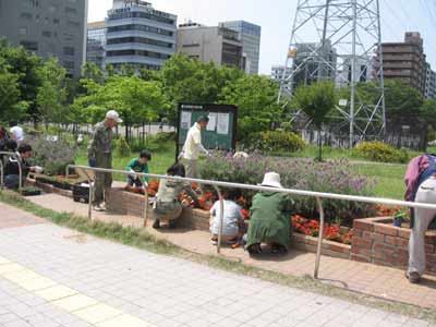 IMG_3666.jpg